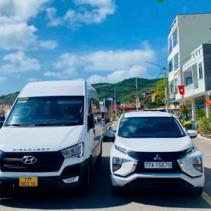 Da Nang to Phu Yen by private car- Bee Bee Travel