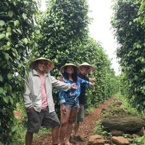 Dong Hoi to Duck Stop by private car- Bee Bee Travel