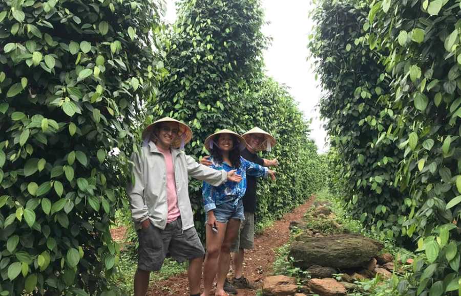 Dong Hoi to Duck Stop by private car- Bee Bee Travel