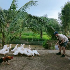 Dong Hoi to Duck Stop by private car- Bee Bee Travel