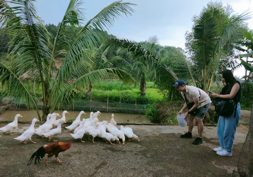 Dong Hoi to Duck Stop by private car- Bee Bee Travel