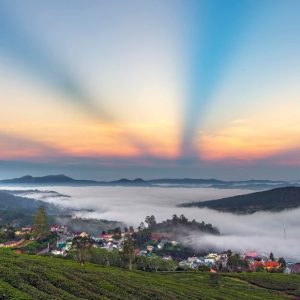 Hoi An to Dalat by private car- Bee Bee Travel