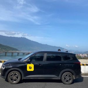 Hoi An to Monkey Mountain by private car- Bee Bee Travel