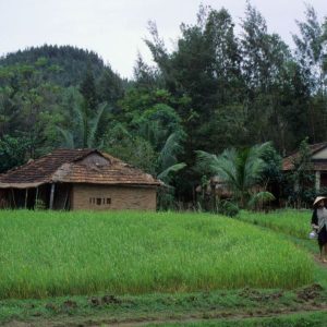 Hoi An to My Lai Massacre By Private Car- Bee Bee Travel