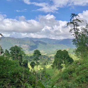 Hue to Hamburger Hill by private car- Bee Bee Travel