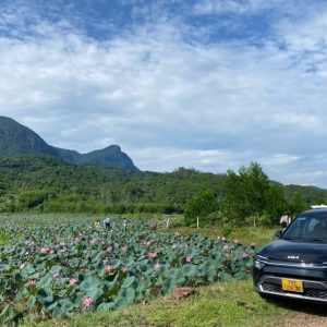 Hue to Nha Trang by private car- Bee Bee Travel