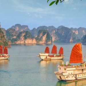 Ninh Binh to Halong Bay by private car- Bee Bee Travel
