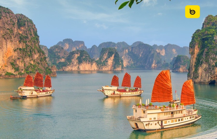 Ninh Binh to Halong Bay by private car- Bee Bee Travel