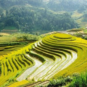 Ninh Binh to Sapa by private car- Bee Bee Travel