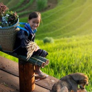 Ninh Binh to Sapa by private car- Bee Bee Travel