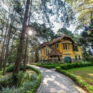 Da Nang To Dalat By Private Car - Bee Bee Travel