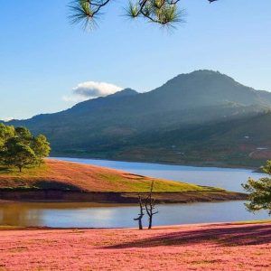 Da Nang To Dalat By Car - Bee Bee Travel