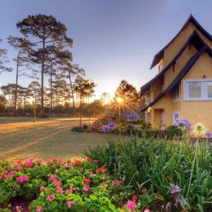 Da Nang To Dalat By Car - Bee Bee Travel