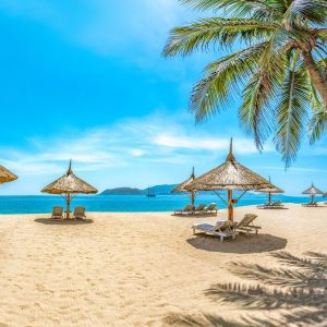 Da Nang To Nha Trang By Private Car - Bee Bee Travel