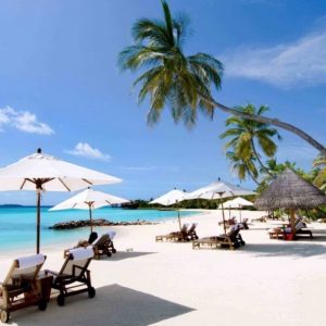 Hoi An to Nha Trang by private car- Bee Bee Travel