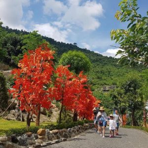 Hoi An to Than Tai Hot Springs Park by private car- Bee Bee Travel