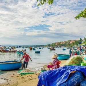 Da Nang To Mui Ne Private Car