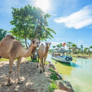 Da Nang To Vinpearl Land Private Car