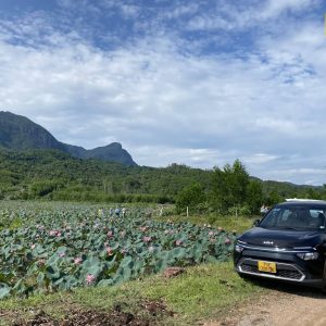 Ninh Binh to Dong Hoi by private car- Bee Bee Travel