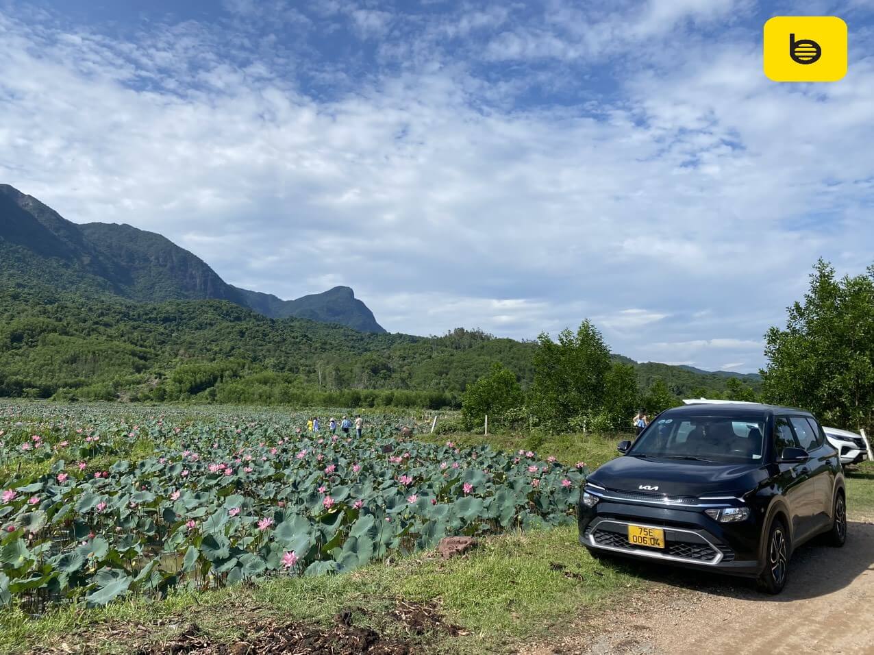 Ninh Binh to Dong Hoi by private car- Bee Bee Travel