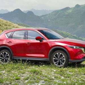 Ninh Binh To Hai Duong Private Car