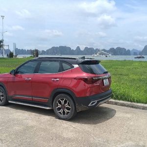 Halong Bay to Ninh Binh Private Car - Bee Bee Travel