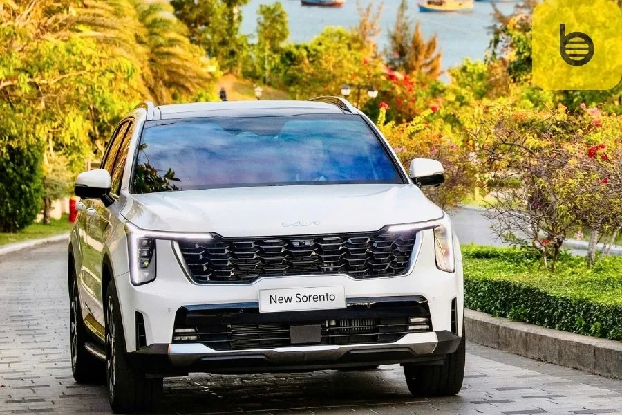 Cat Ba Island To Ha Giang Private Car - Bee Bee Travel