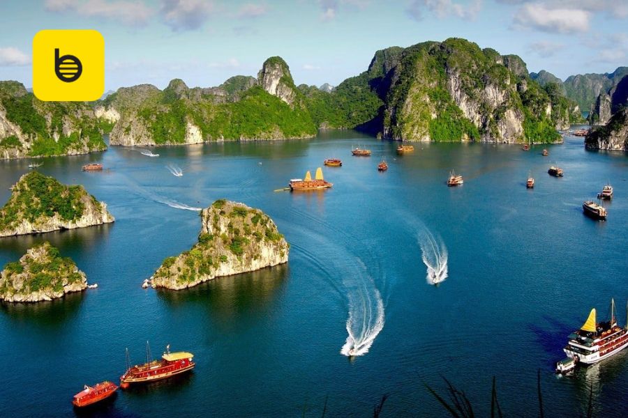 Private car Halong Bay to Pu Luong - Bee Bee Travel
