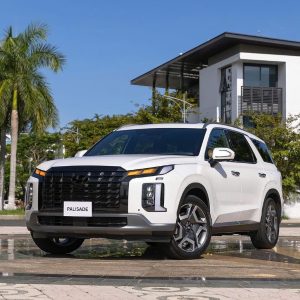 Cat Ba Island To Halong Bay Private Car - Bee Bee Travel