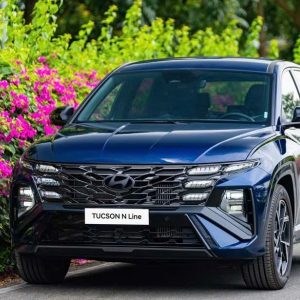 Hai Phong To Sapa Private Car - Bee Bee Travel