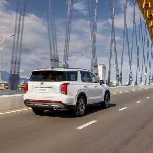 InterContinental Danang To Ba Na Hills Private Car - Bee Bee Travel