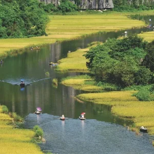Cat Ba Island To Ninh Binh Private Car - Bee Bee Travel