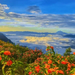 Halong Bay To Mai Chau By Private Car Rental - Bee Bee Travel