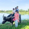 Hoi An Countryside Tour - Bee Bee Travel