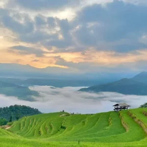 Halong Bay To Ha Giang By Private Car Transfer - Bee Bee Travel