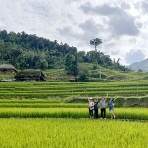 Halong Bay To Ha Giang Private Car Transfer - Bee Bee Travel