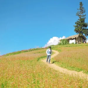 Halong Bay To Ha Giang Private Car Transfer - Bee Bee Travel