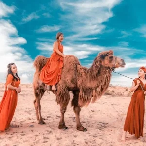 Hue to Mui Ne by private car - Bee Bee Travel
